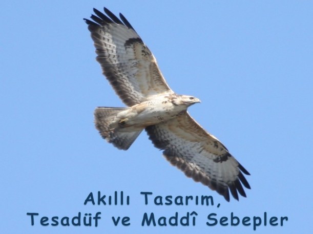 Akıllı Tasarım