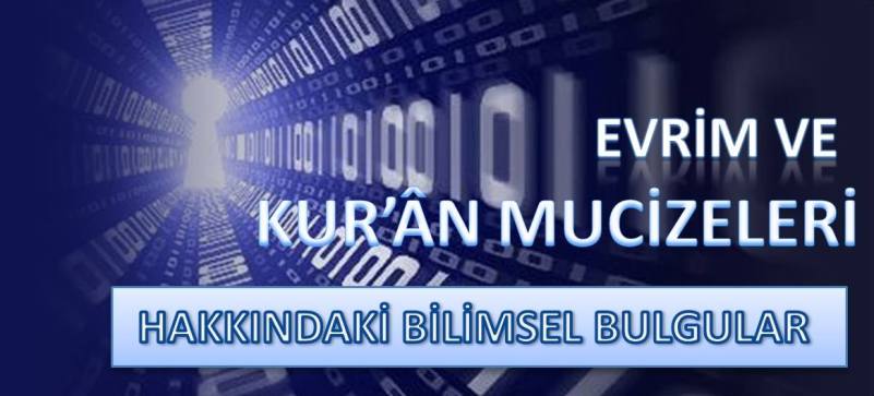 Evrim ve Kur’ân Mucizeleri Üzerine Bilimsel Bulgular Hakkında