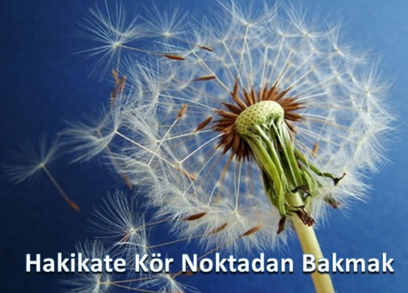 Hakikate Kör Noktadan Bakmak