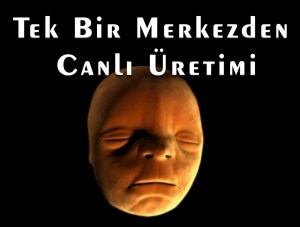 Tek Bir Merkezden Canlı Üretimi