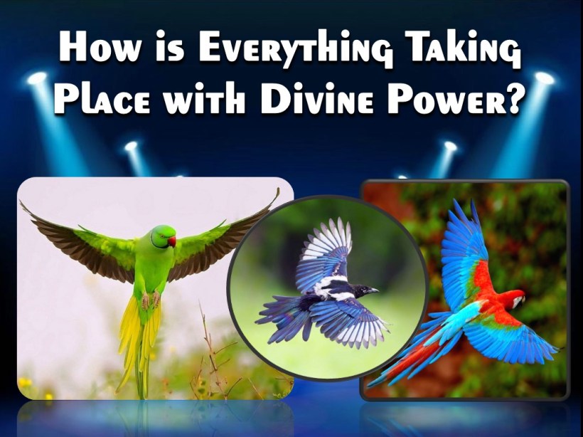 eng-Her Şey İlahî Kudretle Nasıl Meydana Geliyor